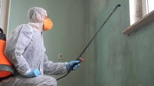 Best Biohazard Mold Removal  in Sharpsville, PA