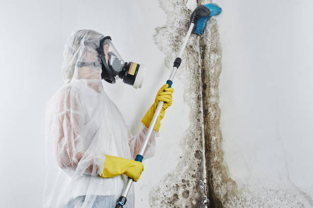 Mold Remediation for Vacation Homes in Sharpsville, PA