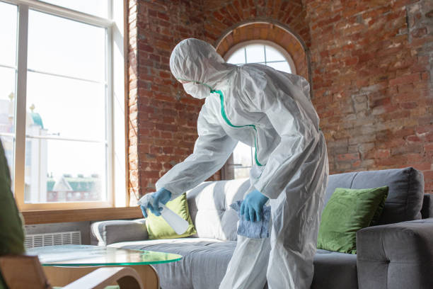 Best Emergency Mold Remediation  in Sharpsville, PA