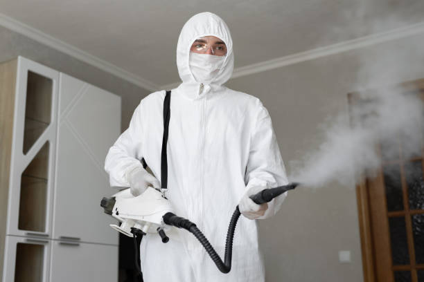 Best Forensic Mold Investigation  in Sharpsville, PA