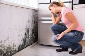 Mold Documentation for Insurance Claims in Sharpsville, PA